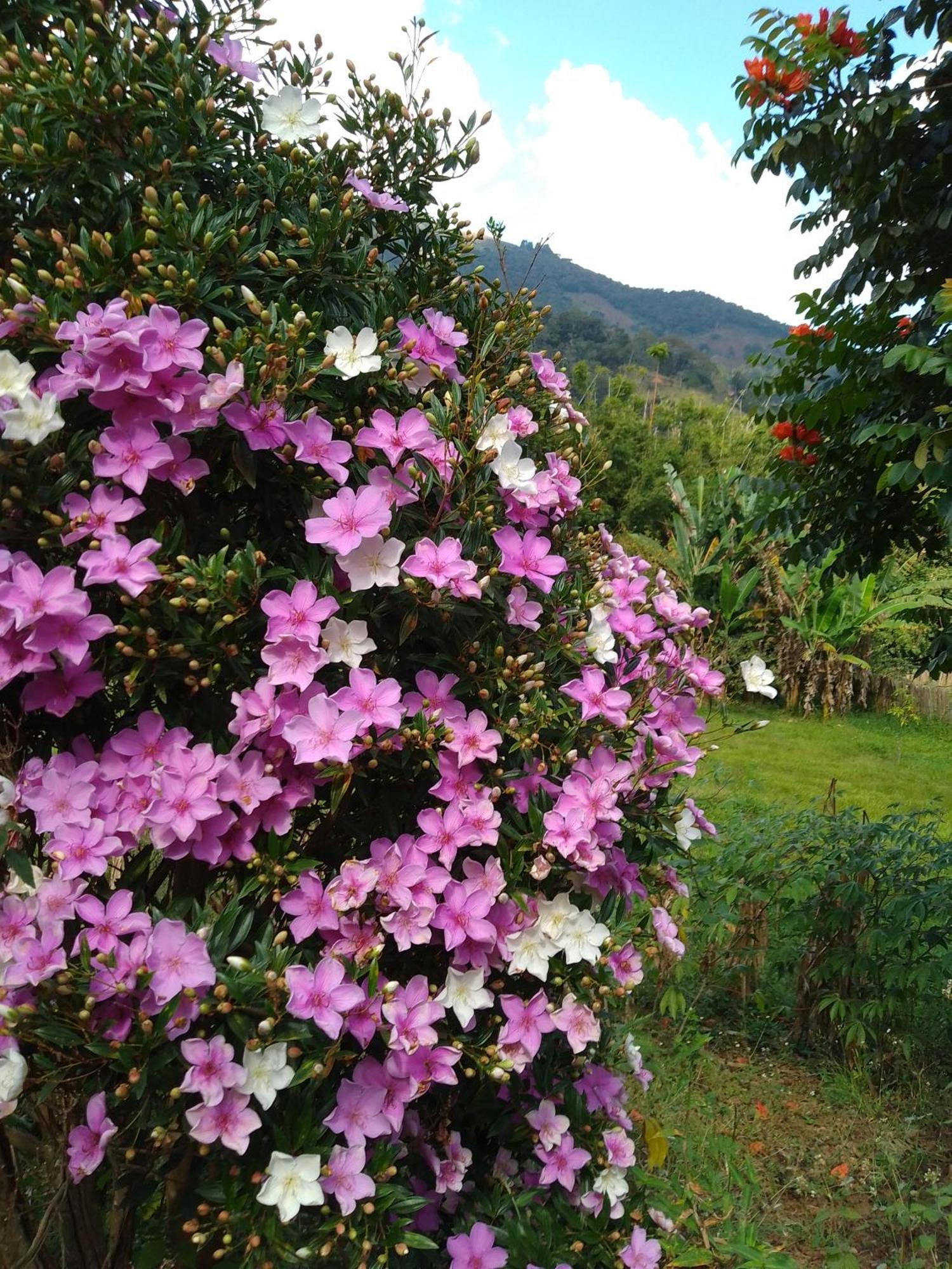 Rancho Pe Da Pedra Villa São Bento do Sapucaí Szoba fotó