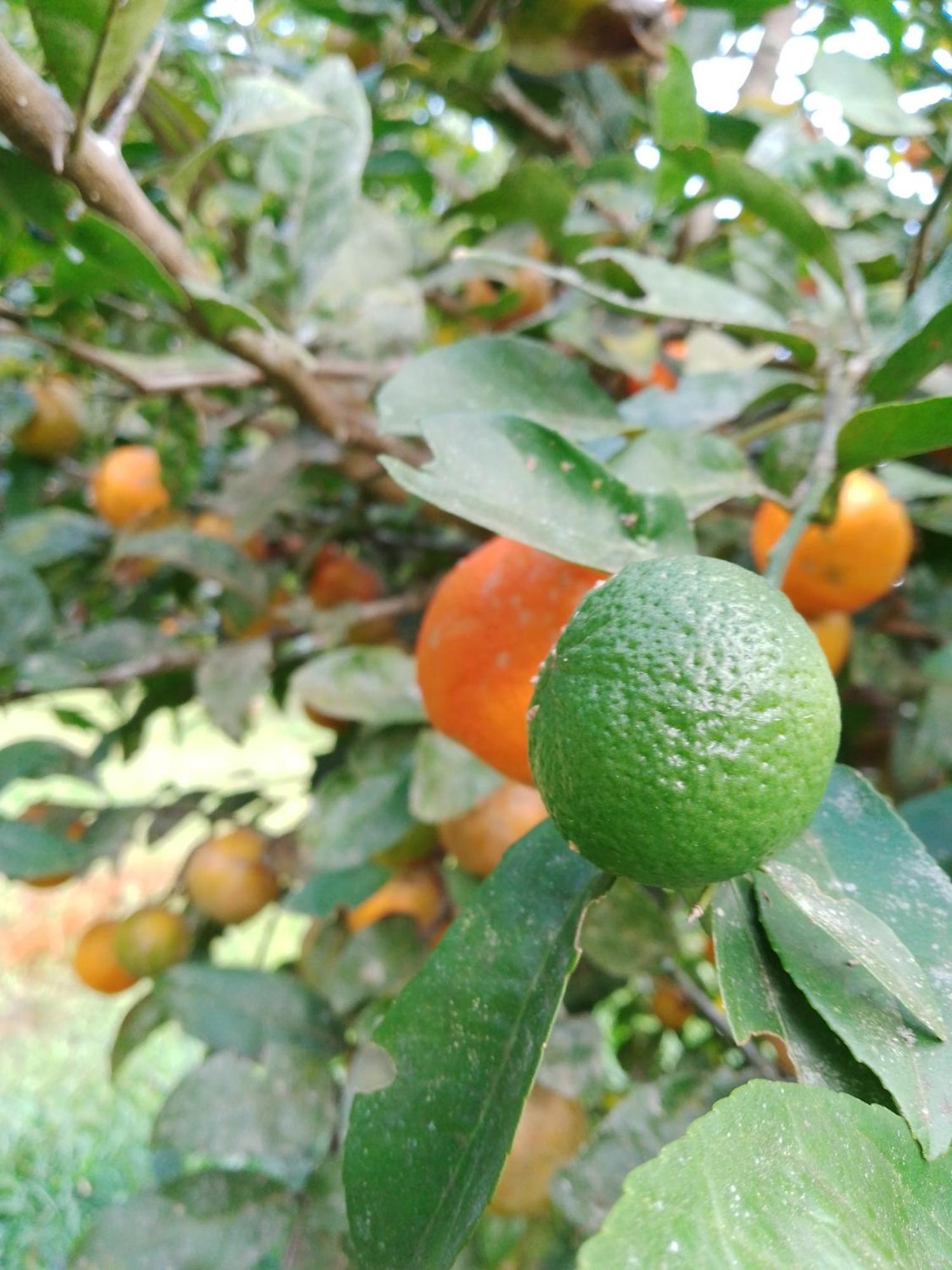 Rancho Pe Da Pedra Villa São Bento do Sapucaí Szoba fotó