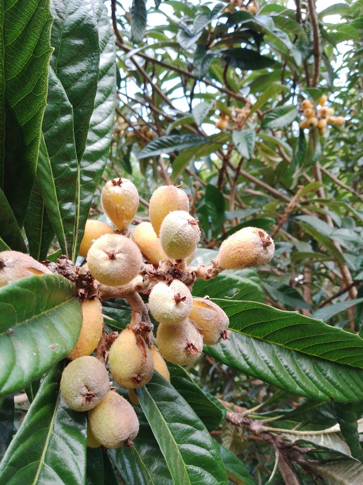 Rancho Pe Da Pedra Villa São Bento do Sapucaí Szoba fotó